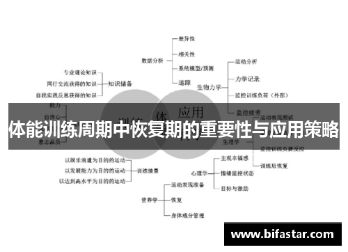 体能训练周期中恢复期的重要性与应用策略